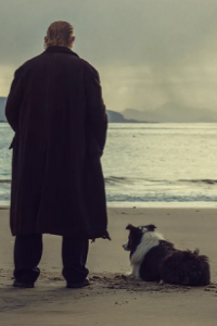 Banshees of Inisherin, The